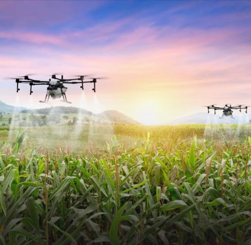 Agritech offers path to food security in Middle East and North Africa